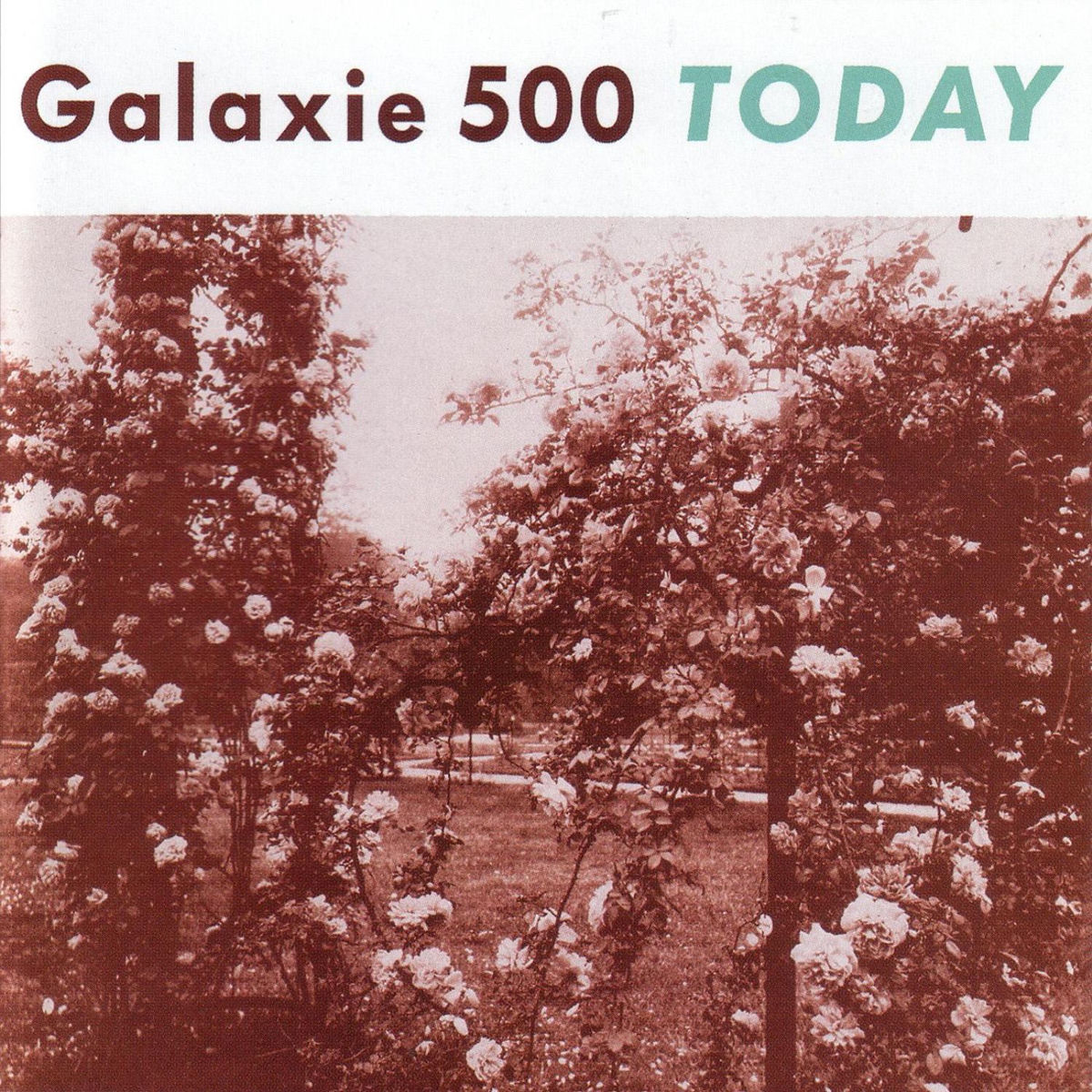 Galaxie 500